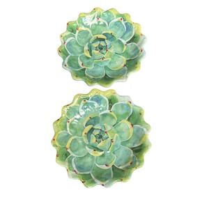 Merritt Succulent Garden Salad Plate Mint Set of 2 Echeveria Design Dishwasher